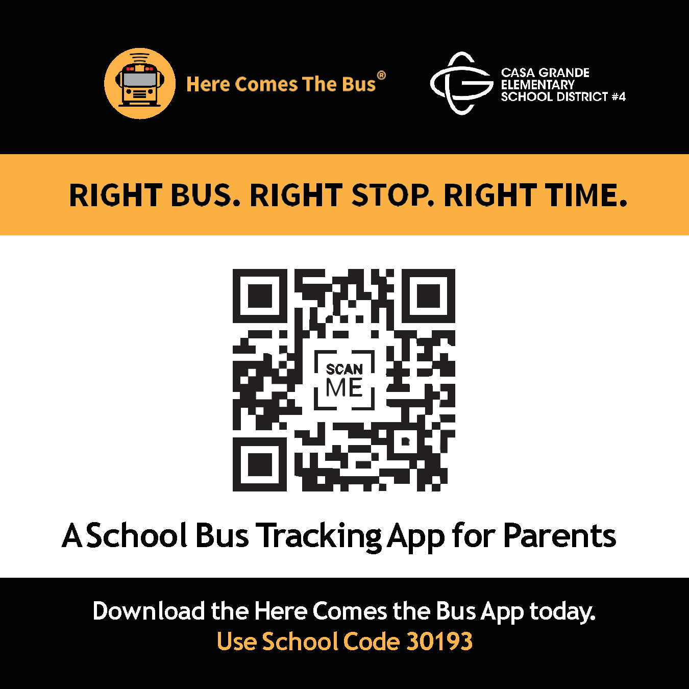 Here comes the bus